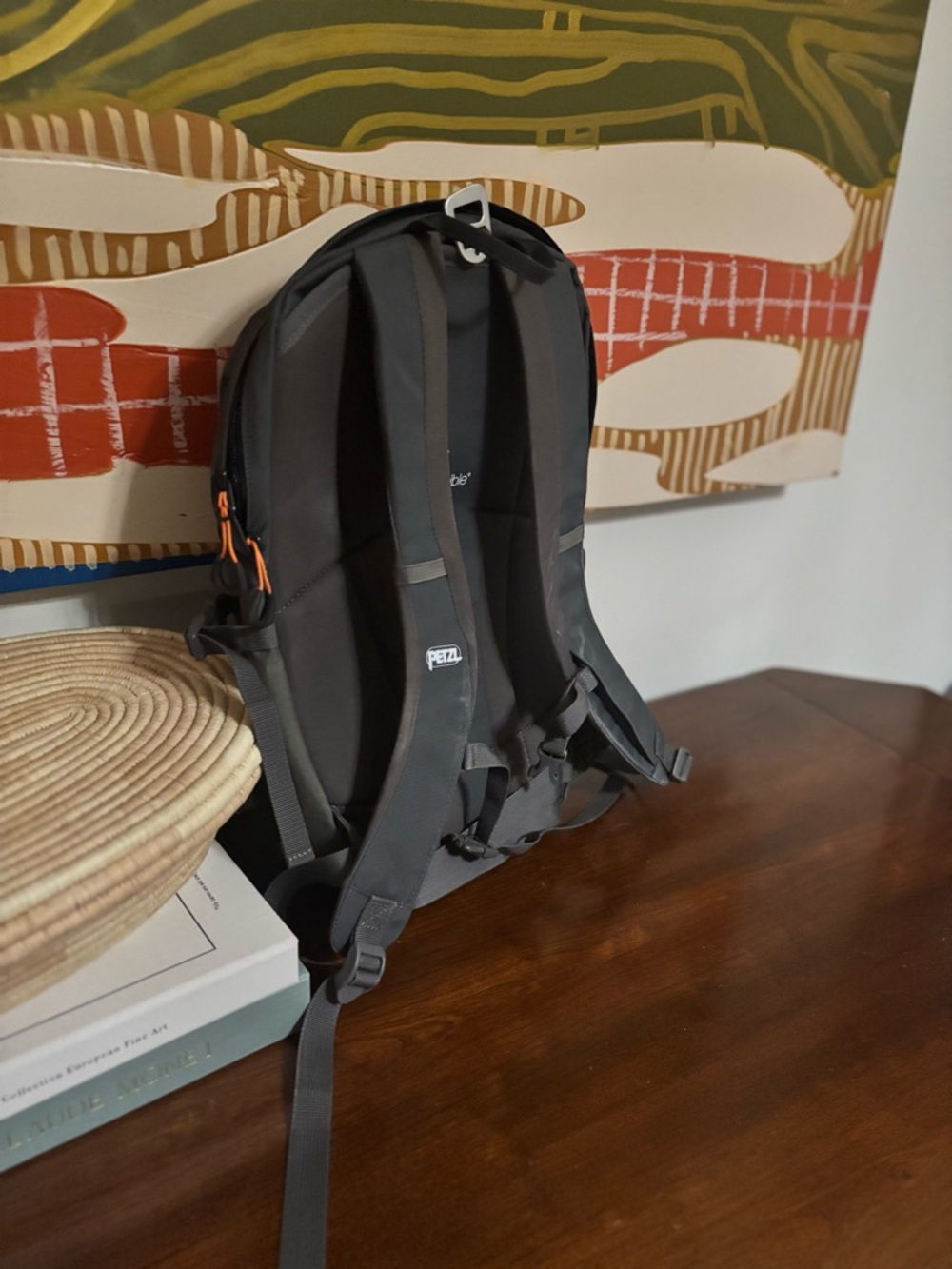 Petzl Bug Men's Backpack in Charcoal with Orange Accent - Picture 3 of 5